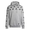 Men's Adidas Stadium Graphic Hoodie