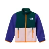 Toddler The North Face Denali Jacket
