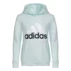 Girls' Adidas Graphic Fleece Hoodie