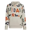 Boys' Adidas Lineage Love Hoodie