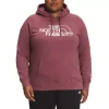 Women's The North Face Plus Graphic Injection Hoodie