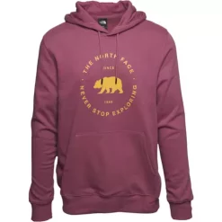 Men's The North Face Bearscape Circle Logo Hoodie